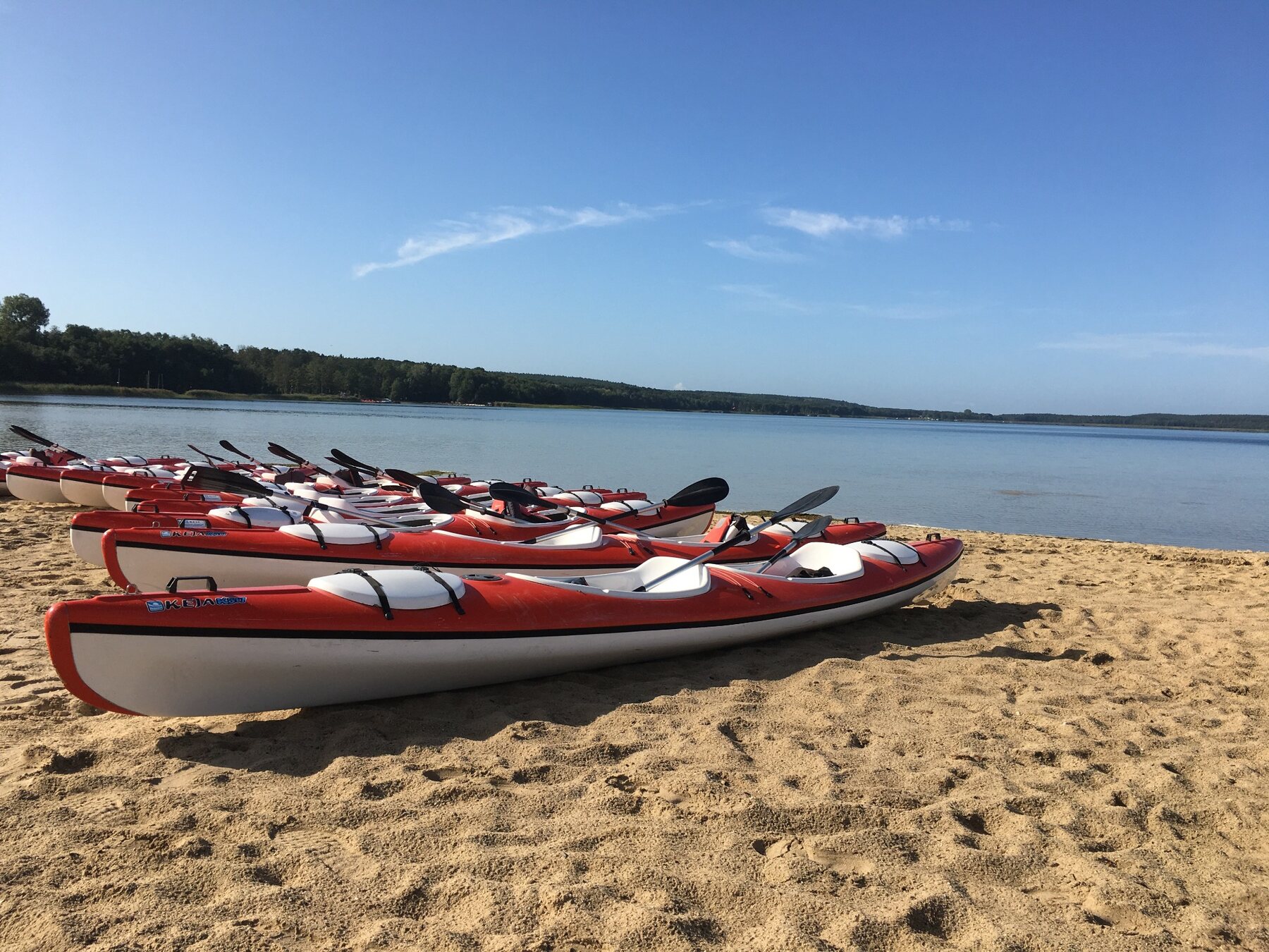 Kajaki przygotowane do zespołowej aktywności nad wodą