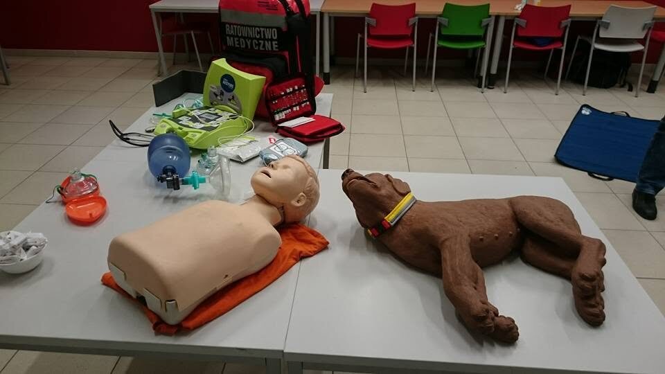 Fantomy i sprzęt przygotowane do szkolenia